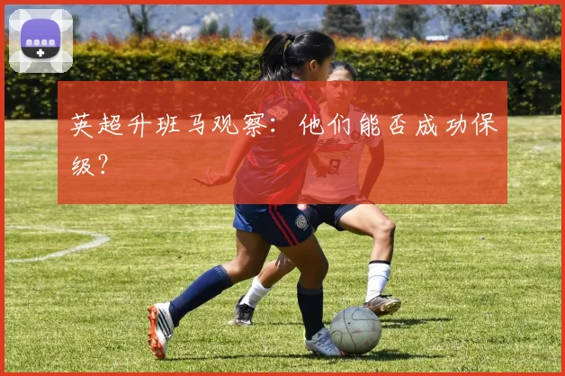 英超升班马观察：他们能否成功保级？