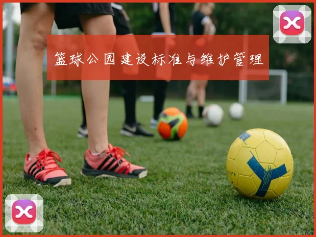 篮球公园建设标准与维护管理
