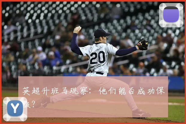 英超升班马观察：他们能否成功保级？